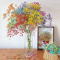 Bouquets de fleurs séchées à l'haleine de bébé conservés à la mode fleurs moelleuses idéales pour les bouquets de mariage voiles de mariée et Boho Home Decor