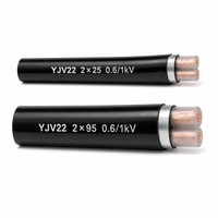Câble de commande et d'alimentation blindé en cuivre YJV22 2 conducteurs 0,6/1 kV 2*2,5 mm² 2*4 mm² 2*6 mm² pour système de commande électrique 2*10/2*16