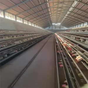 Baru 1000 burung ayam lapisan kandang ayam baterai baja kandang hewan untuk perternakan unggas 96/128 kondisi burung baru - Product Image 5