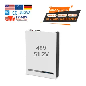 6000 Cycle Powerwall DE 10Kw baterai penyimpanan energi LiFePO4 baterai Solar Home Powerwall 48V 200Ah 10kWh Powerwall