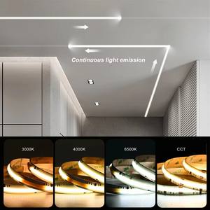 家庭用Cob Ledストリップ24Vプログラム可能420led/<span class=keywords><strong>m</strong></span>シングルカラーCob Ledストリップライト - Product Image 3