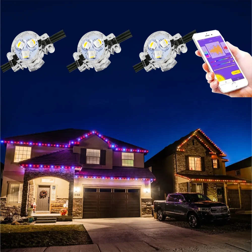 Outdoor Waterproof IP68 Permanent Led Christmas Lights For House DC48V Led Point Lights