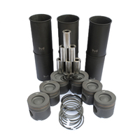 Kit de révision moteur complet : chemise de cylindre, axe de piston, bague de piston, kit de chemise de cylindre pour camion, kits de révision pour Howo Man Weichai