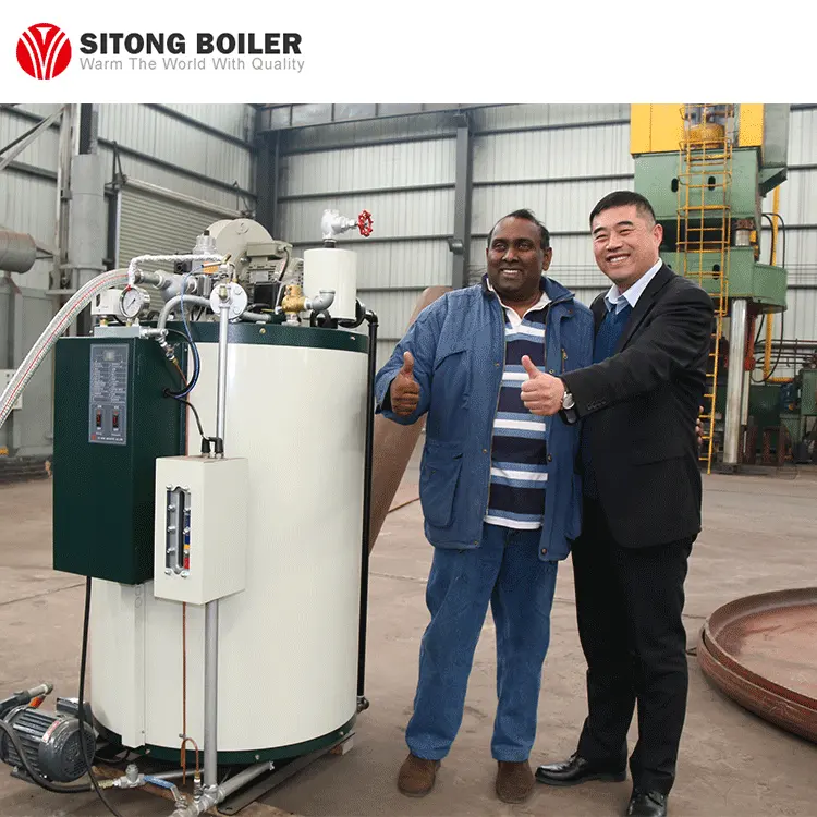 Generatore di vapore a biomassa automatico 200kg 300kg 500kg 1000kg