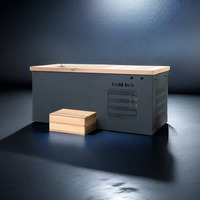 Baignoire à glace portable avec refroidisseur – Baignoire rectangulaire moderne à double usage (chaud et froid) en bois, très vendue