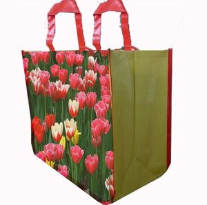 Sac de courses pliable réutilisable en PP non tissé pour l'épicerie, matériau durable, facile à transporter, écologique - Product Image 1