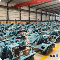 Machine de plantation d'ail de haute qualité-Longue durée de vie, semis de précision pour une agriculture d'ail rentable