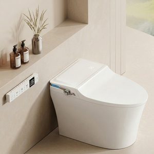 Toilette intelligente de style australien moderne avec levage à une touche et certification CE pour maisons de luxe - Product Image 1