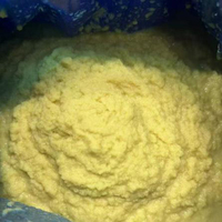 Pâte de gingembre de qualité alimentaire, fût de 230 kg, vente en gros pour l'industrie de la restauration