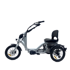 Tricycle électrique orthopédique d'usine chinoise, mini tricycle électrique de route de 18 <span class=keywords><strong>pouces</strong></span>, vélo électrique urbain à 3 roues avec batterie de 20 Ah - Product Image 4
