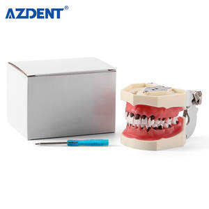 <span class=keywords><strong>Model</strong></span> Pengajaran Gigi Azdent <span class=keywords><strong>Model</strong></span> Kalkulus Gigi/ <span class=keywords><strong>Model</strong></span> Penyakit <span class=keywords><strong>Periodontal</strong></span> - Product Image 3