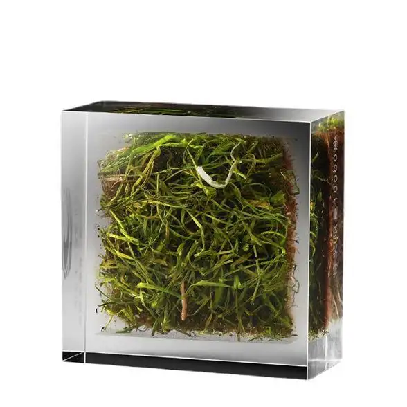 Sáng Tạo Acrylic nhúng thực cỏ quà lưu niệm nhựa trong suốt chôn bóng đá lĩnh vực thực cỏ Turf lưu niệm