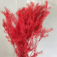 Herfstse gedroogde Melaleuca Bracteata bloemen. Prachtige grondstoffen voor bloemstukken & decoraties voor thuis en kantoor.