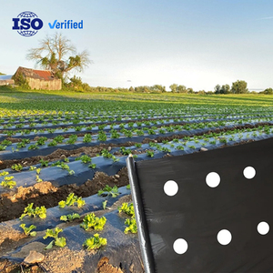 Film de paillage agricole en plastique de qualité supérieure, plastique agricole, paillis agricole, film de paillage noir et argenté pour tomates - Product Image 1