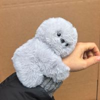 Peluche personnalisée avec logo, motif Hibou Robot Timide, Koala, rose, beige, gris, jouet en peluche dessin animé, bracelet, pendentif de sac, coussin décoratif doux