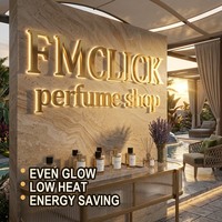 Lettres rétroéclairées personnalisées, enseigne 3D avec halo lumineux, or, acier inoxydable, lettrage mural pour boutique de parfums