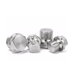 Stainless Steel 304 316 Din 910 Hexagon Head Screw Plugs With Collar