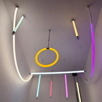 Tube lumineux LED néon flexible professionnel personnalisé 12V 24V, bandes lumineuses en forme de corde, 360° avec une qualité supérieure, IRC élevé 90, silicone pur et souple