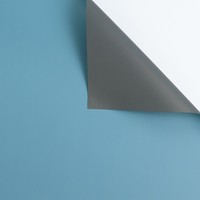 Papier d'emballage pour fleurs, double couleur, enduit de PE, recyclable, imperméable, style coréen, emballage pour bouquets