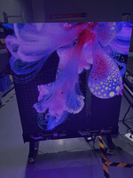 Layar LED Transparan Holografik SMD FutureX P3.91 1*2m untuk Jendela Showroom Otomotif, Pusat Ritel, OEM, Ukuran Kustom