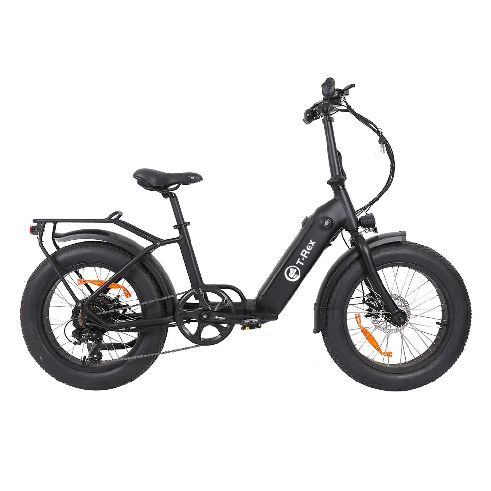 접이식 전기 자전거 리튬 배터리 36V 10.4AH 장수 성인 전기 자전거 250W 브러시리스 기어 모터 전기 자전거