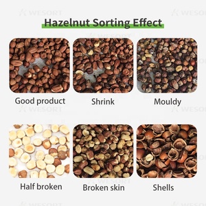 Wesort 6sxz-68l màu SORTER nhà sản xuất máy móc chế biến thực phẩm quang thông minh NUT óc chó Hazelnut màu phân loại máy - Product Image 4