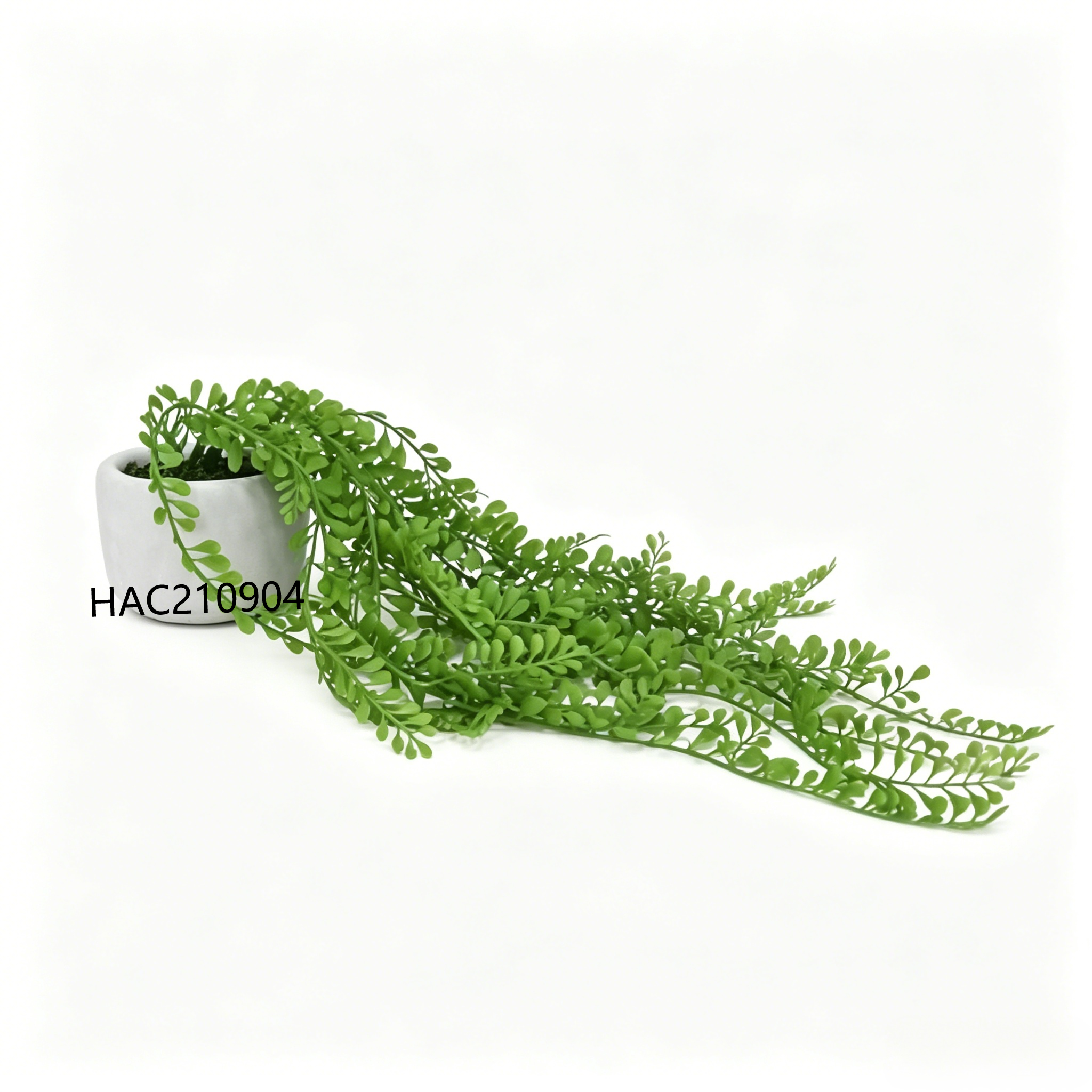 Vert