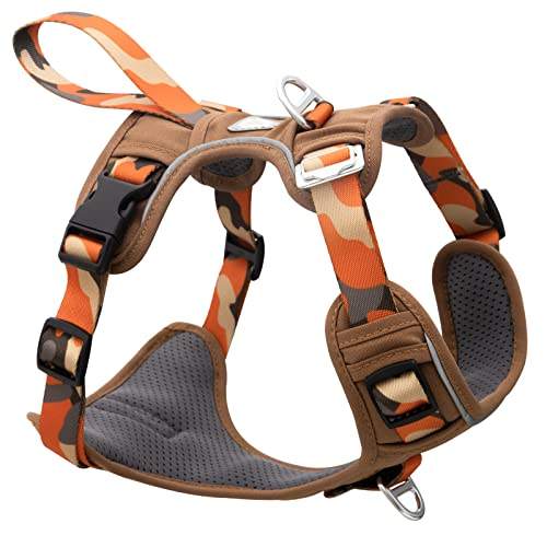 สีส้มลายพราง