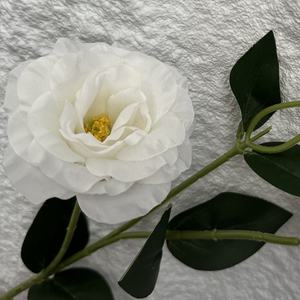 Venta al por mayor de flores artificiales de seda pura Lisianthus realista <span class=keywords><strong>Eustoma</strong></span> <span class=keywords><strong>Grandiflorum</strong></span> para la decoración de la boda del hogar - Product Image 3