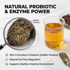 Té de Hierbas Naturales <span class=keywords><strong>para</strong></span> el Apoyo Estomacal y <span class=keywords><strong>la</strong></span> Regulación de <span class=keywords><strong>la</strong></span> <span class=keywords><strong>Flora</strong></span> <span class=keywords><strong>Intestinal</strong></span>, <span class=keywords><strong>para</strong></span> el Bienestar Digestivo y el Equilibrio <span class=keywords><strong>Intestinal</strong></span> (Marca Privada) - Product Image 4