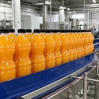 Usine de production de jus clé en main complète, équipement de remplissage, de bouchage, d'étiquetage et d'emballage automatique, fabricant OEM