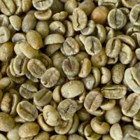 Robusta Biologische Groene Koffiebonen 100 Procent Puur Voor Het Roosteren En Drinken Van Hoge Kwaliteit Vietnam Arabica