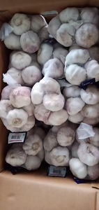Bán buôn Chất lượng cao tỏi trắng tươi với số lượng lớn tỏi trắng bình thường từ cung cấp bán buôn - Product Image 2