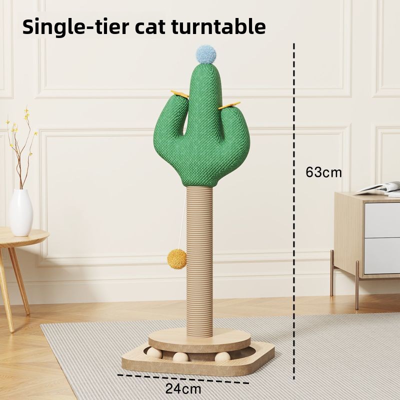 Cactus cat's pillar-climbing model upgraded to space capsule