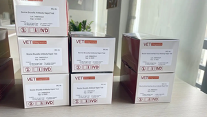 소 공장 직매 소 브루셀라 항체 신속 검사 키트 - Product Image 5