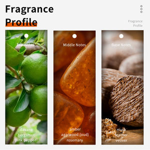 Parfum VILILY B131 Perfume Unisex Original 38ml Woody Oriental Mini Perfumes Originales Imper Val - Product Image 2