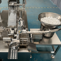 Machine de remplissage et d'emballage automatique de tubes PP pour comprimés effervescents en bouteille droite