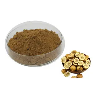 Hot Sale 4:1 MeLia Extract Powder Neem Extract Powder Neem Extract