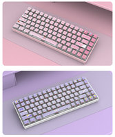Vente en gros Pudding Transparent Keycaps Clavier de jeu mécanique ABS 84 touches RGB rétro-éclairé 75% Clavier de jeu mécanique