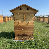 Ensemble complet de 7 rames de ruche en bois de sapin chinois pour l'apiculture, avec système de flux de miel automatique