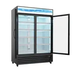 Refrigerador de refrescos comercial Refrigerador de puerta de vidrio doble Pantalla Refrigerador vertical