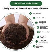 Sol composté d'aiguille de pin fermenté pur avec sol de Type universel nutritif de moule de feuille pour fleurs et plantes tourbe