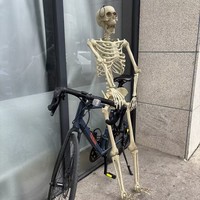Article phare 2026 : Décoration de fête d'Halloween – Squelette en plastique articulé pour la vente en gros