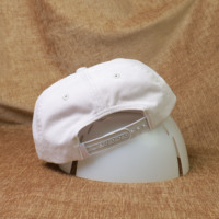 Casquette de baseball à 5 panneaux en coton pur, visière incurvée, boucle en plastique réglable, personnalisable avec broderie