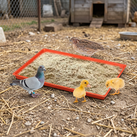 Nouvelle mangeoire à poulets en plastique épaissi, plateau d'alimentation pour volailles, durable et très demandée