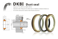 Joint d'étanchéité hydraulique de haute qualité DKBI DKB en PU NBR avec squelette métallique pour excavatrice et engins de construction