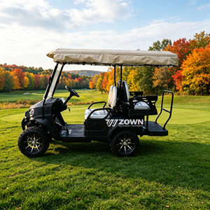 Carrito de Golf Eléctrico Todoterreno de Lujo para 4 Personas, Batería de 48v 72v, Mini Carrito de Golf, Se Acepta Personalización, Carrito de Servicio para Exteriores - Product Image 1