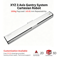 Sistem Gantry 3 Axis Pinsi XYZ dengan Presisi ±0.01mm, Modul Aktuator Sekrup Bola Linear, Meja Linear, Robot Kartesius