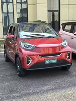 Voiture électrique à basse vitesse entièrement fermée, couleur personnalisée, avec verrouillage centralisé et vitres électriques, norme d'exportation, mini quad