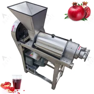 Juicer Extracting Machine Grape Orange Mango Pressing Juicer spiral Fruit And Vegetable Juicing Machine